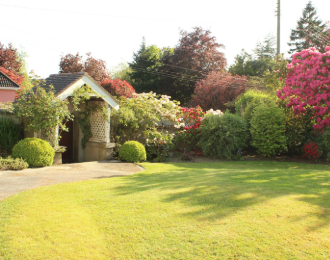 Planting & Maintenance